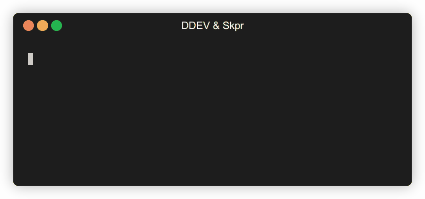 Animated image showing DDEV starting a Skpr project using the configuration provided by the
documentation.